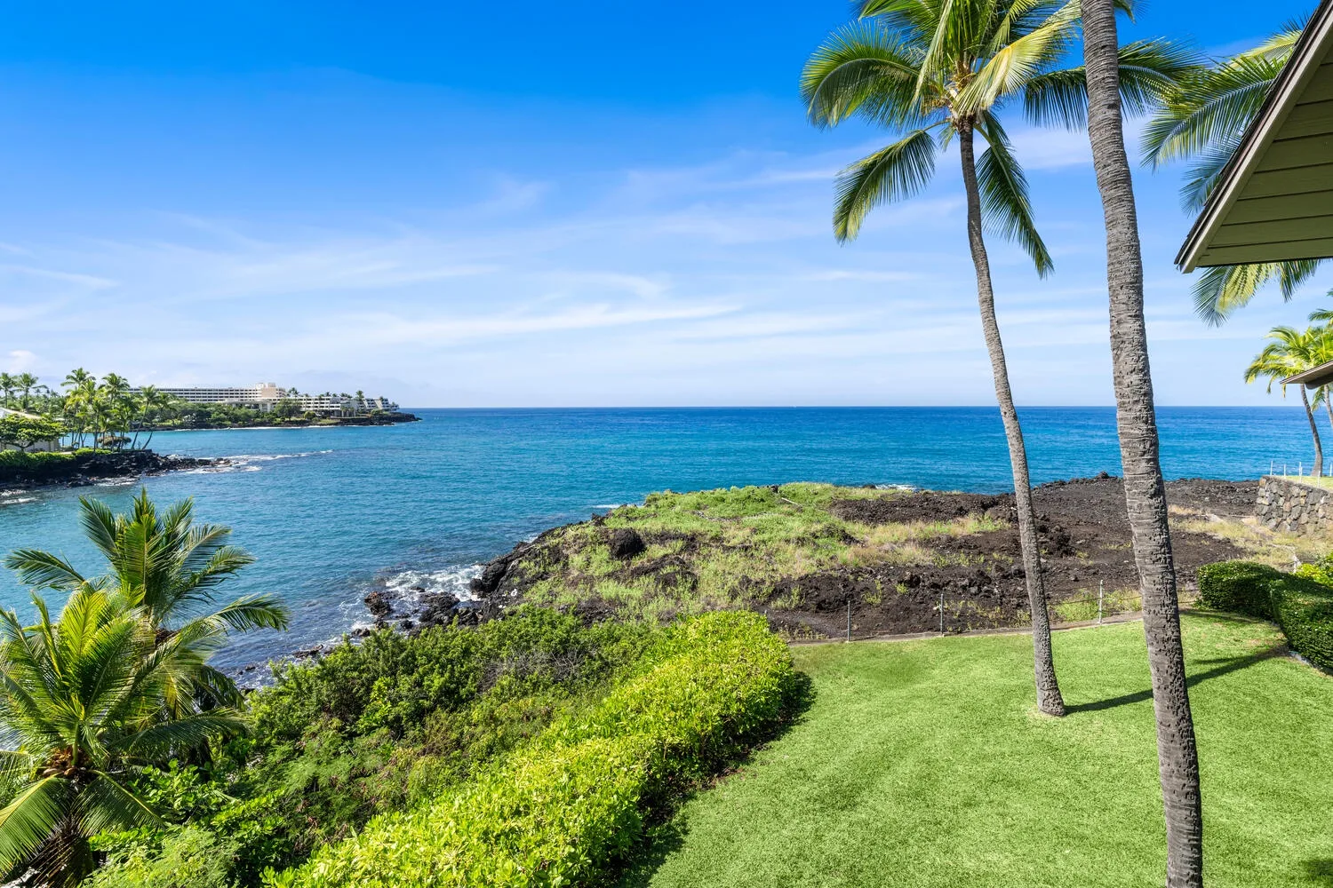 A coastal lawn overlooks the ocean, with palm trees and rocky shoreline.