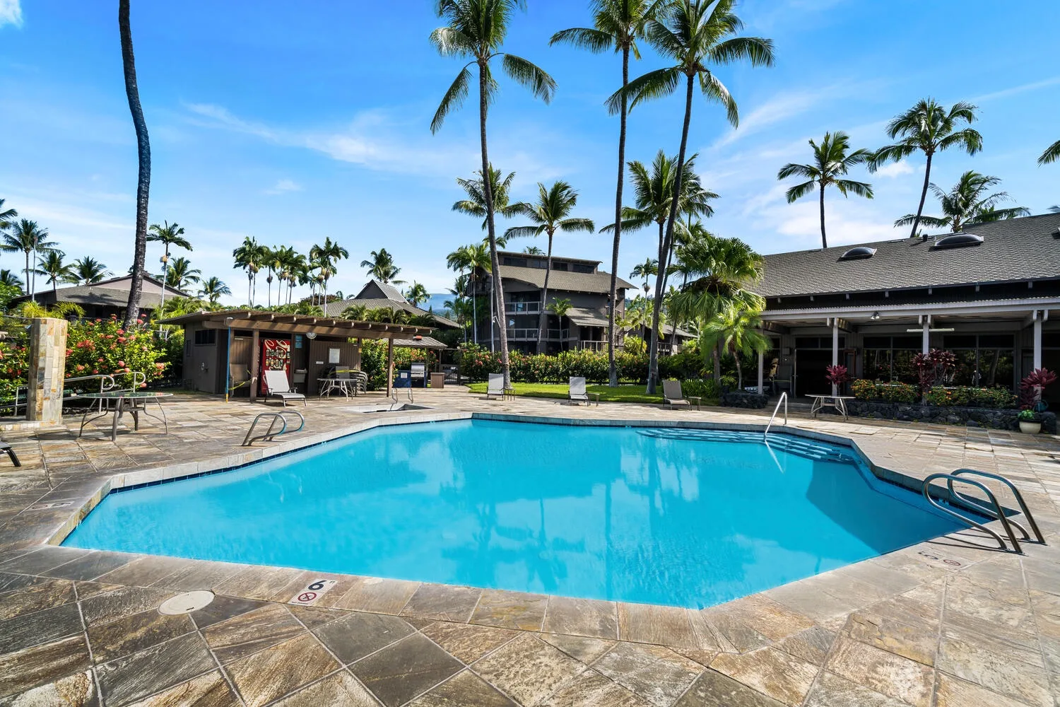 A swimming pool sits on a sunny patio surrounded by palm trees.