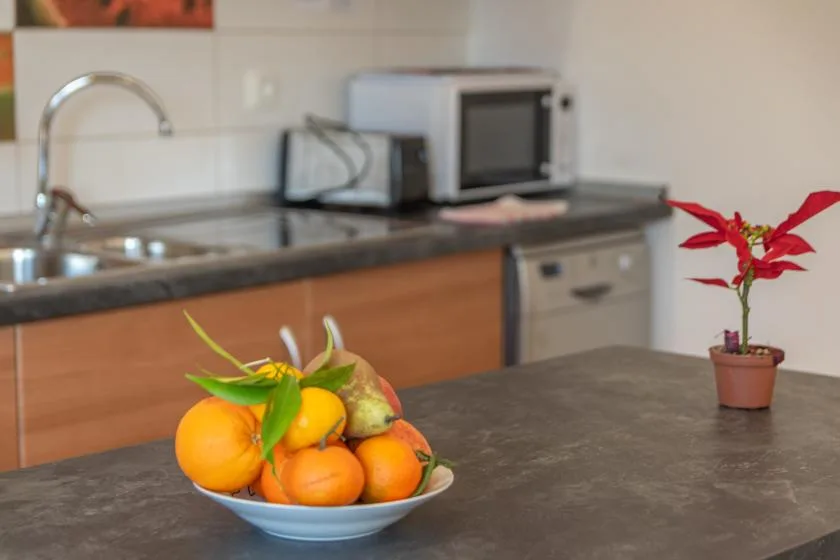 A kitchen counter with a bowl of fruit and a small potted plant.