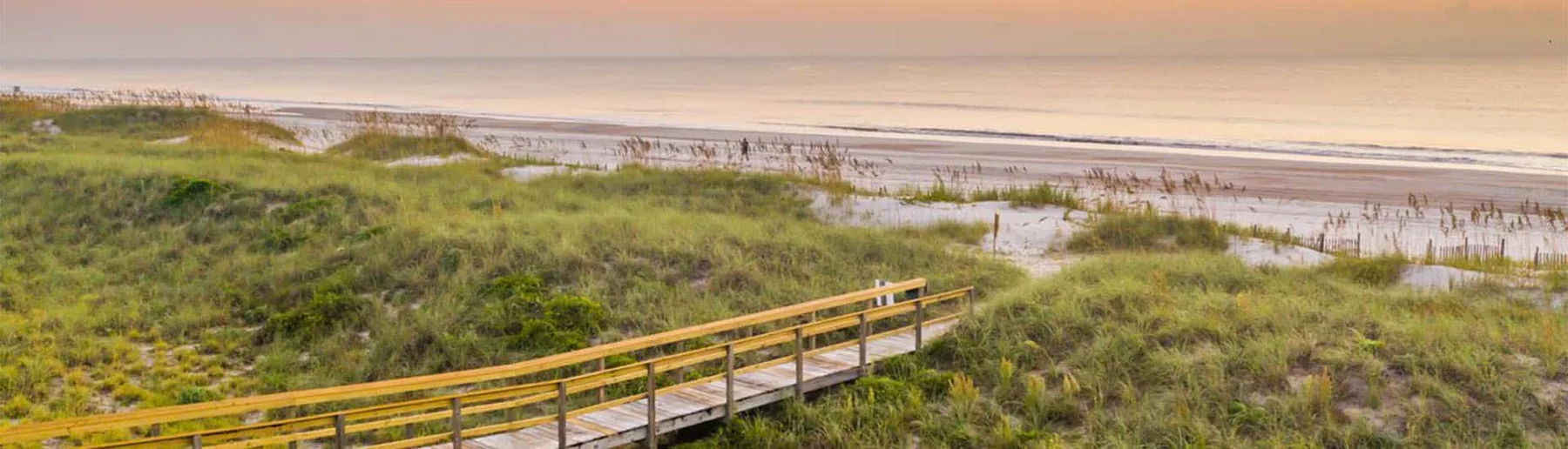 Wooden walkway through greenery toward the beach