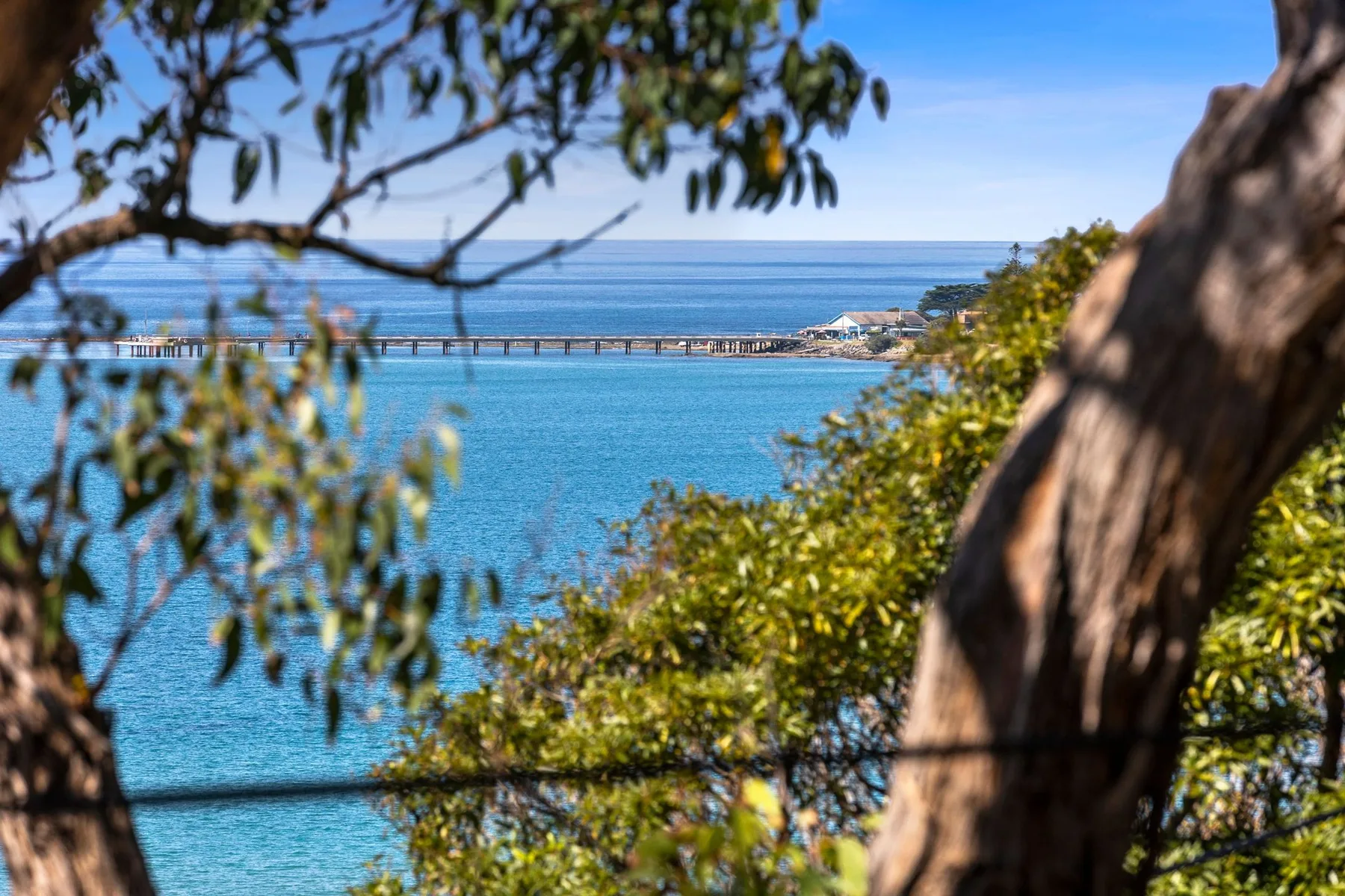 Escena costera enmarcada por ramas, con agua azul y un largo muelle.