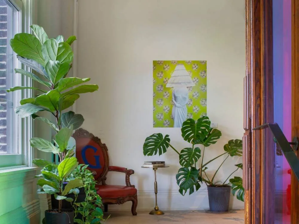 Guestroom with plants