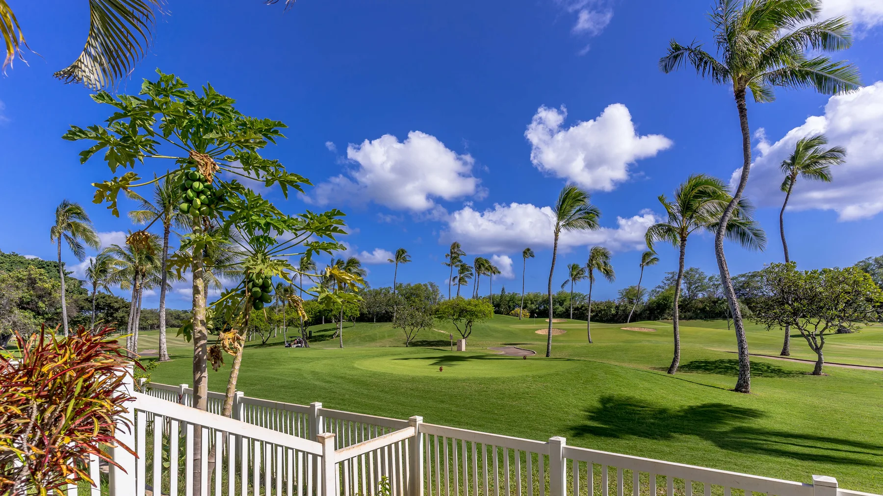 A landscaped outdoor lawn with palm trees beneath a bright blue sky.