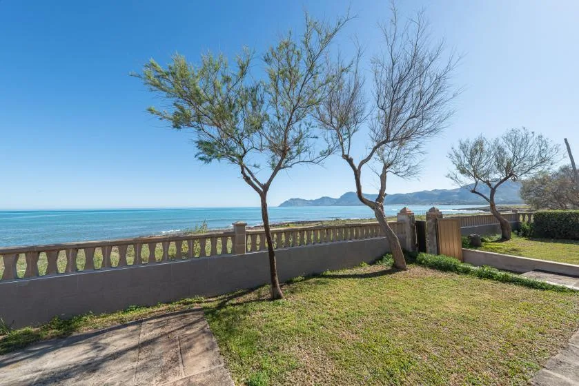 A grassy seaside yard with trees overlooks the water beyond a low wall.