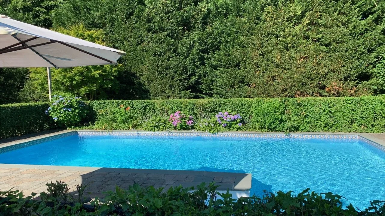 Una piscina al aire libre rodeada de vegetación, con una sombrilla grande.
