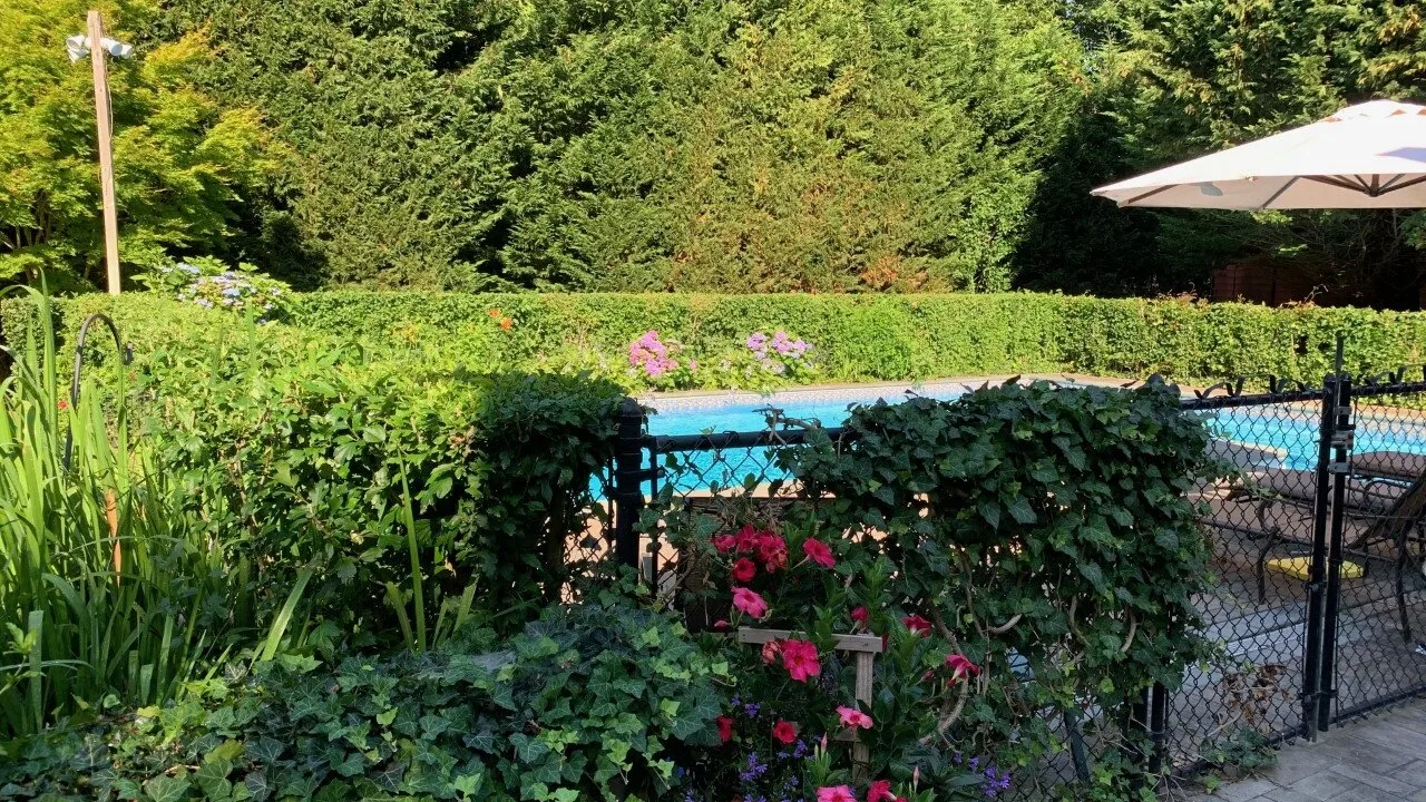 Una piscina exterior cercada está rodeada de vegetación densa y plantas con flores.