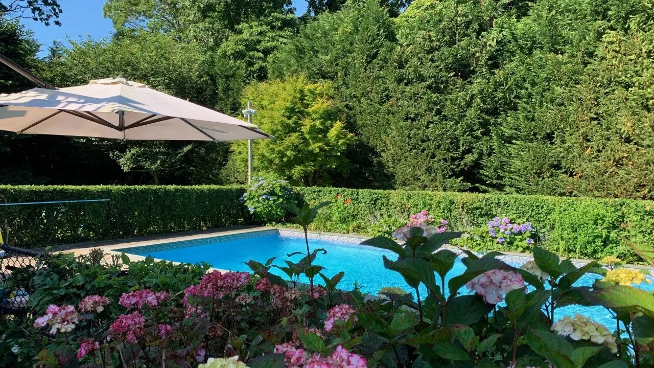 Una piscina al aire libre está rodeada de plantas con flores, setos y árboles.
