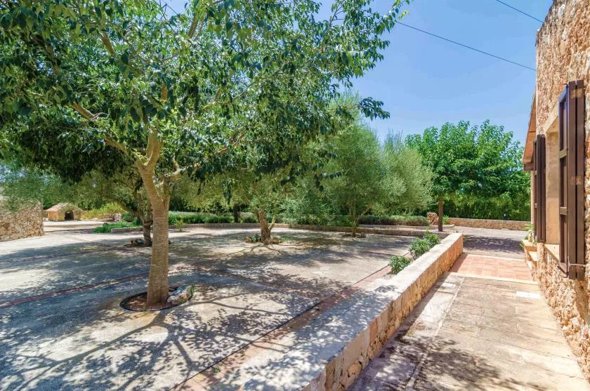 Un patio de piedra con árboles frondosos y un camino pavimentado junto a un edificio.