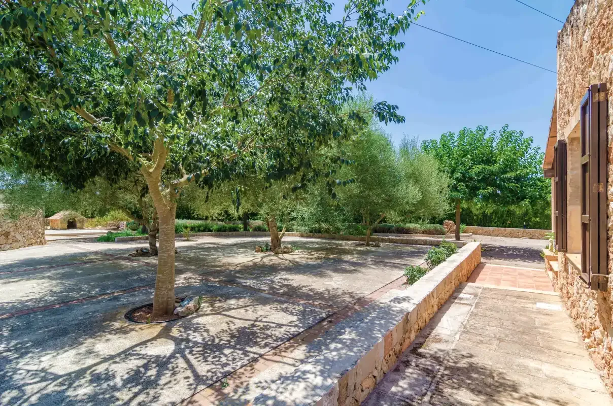 Un patio ajardinado pavimentado con árboles y un camino de piedra junto a un edificio.