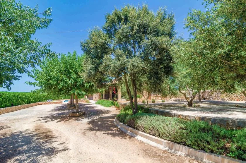 Un sendero ajardinado pasa junto a parterres bajos bajo los árboles.