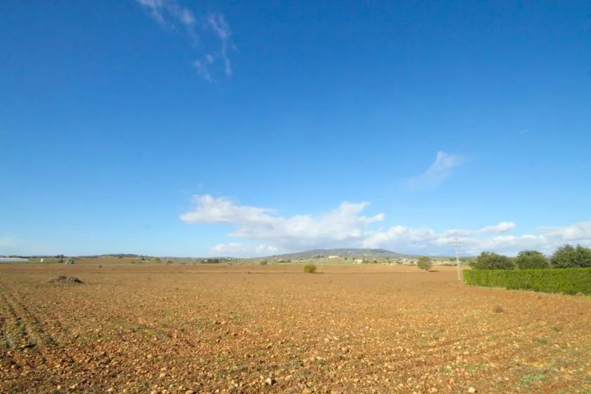 Un amplio campo arado se extiende bajo un cielo azul despejado.