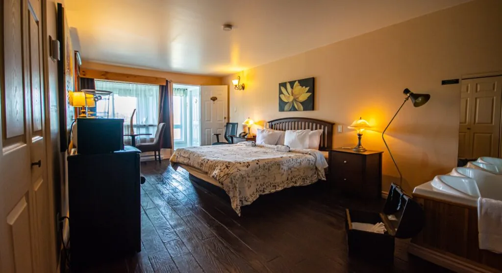 Regular suite
