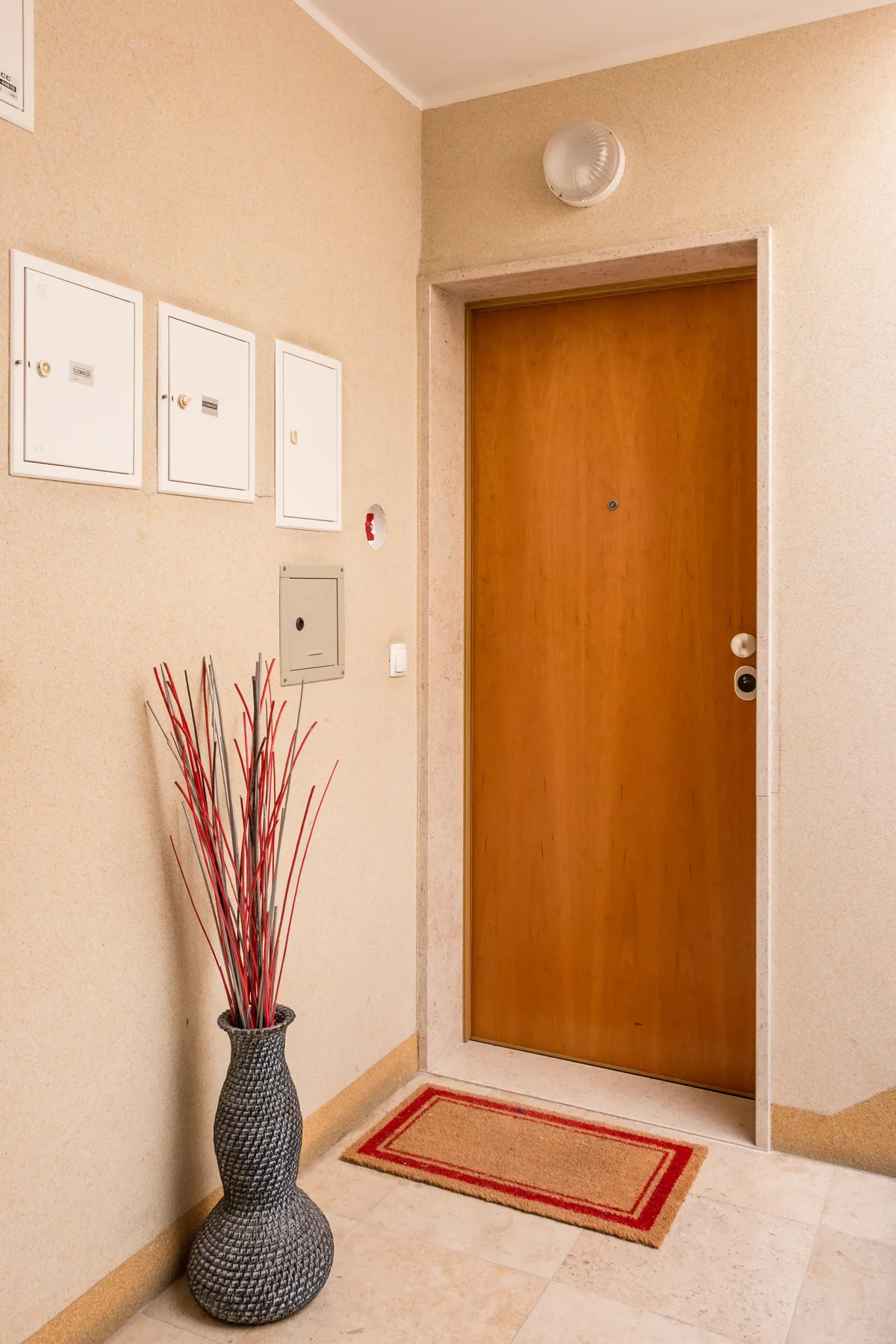 An interior hallway with a wooden entrance door and a decorative vase.