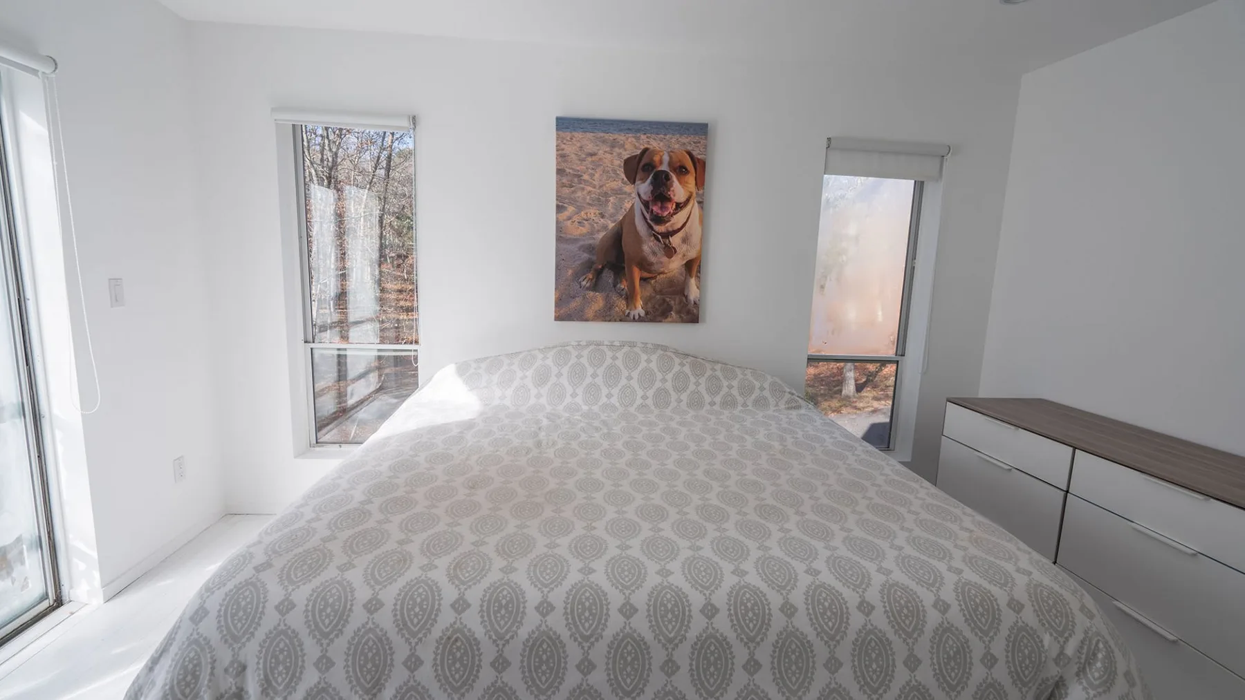 A bright bedroom with a bed beneath a framed dog portrait.