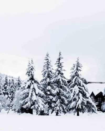Hotel en un entorno de montaña nevado
