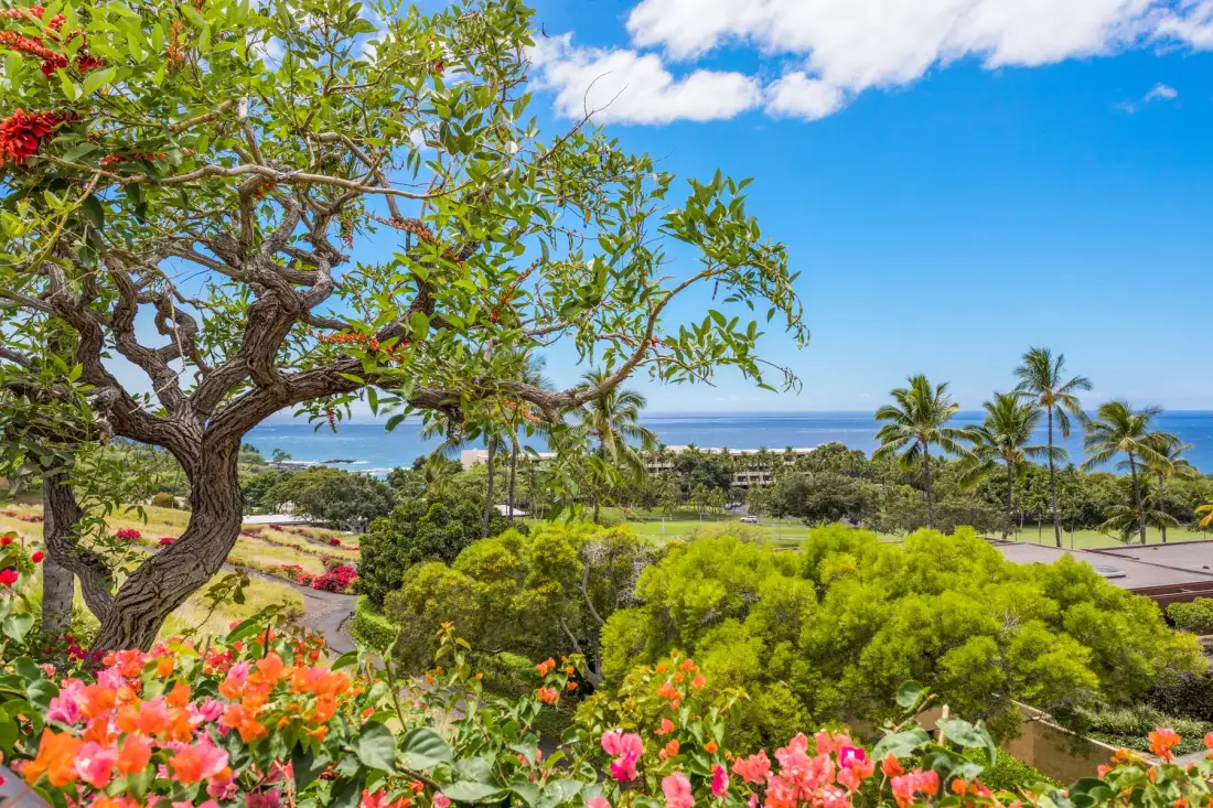 4BD Villas (21) at Mauna Kea Resort
