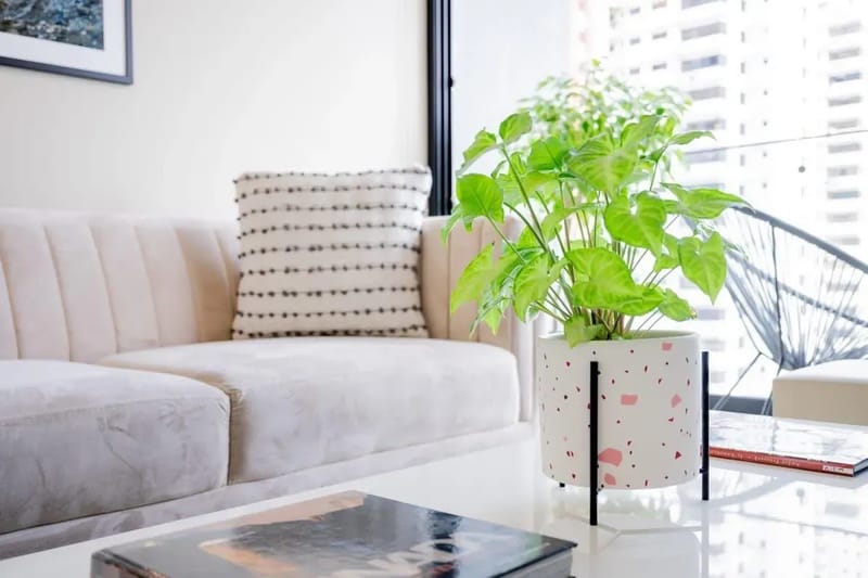 Classy 1BR in San Francisco w/ Pool