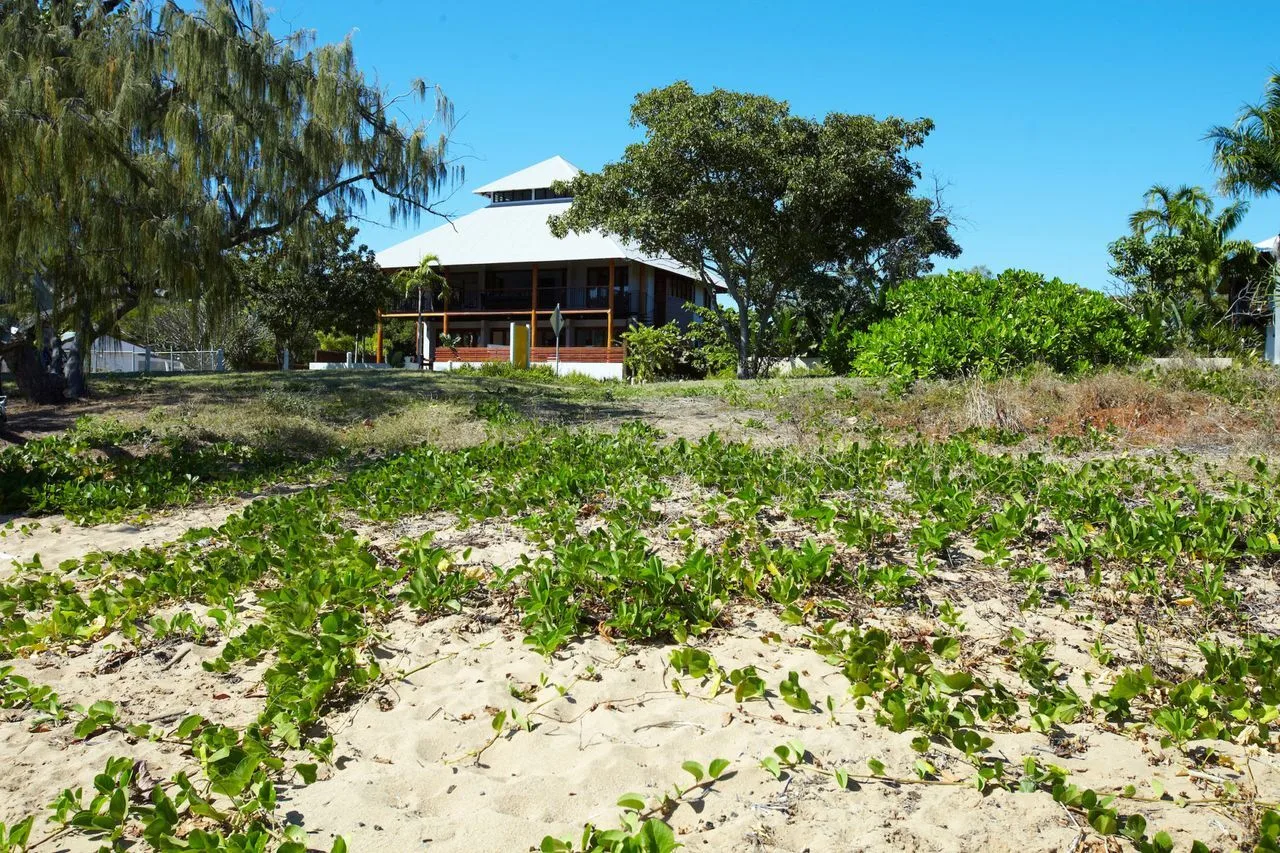 A house stands beyond a sandy, plant-covered foreground.