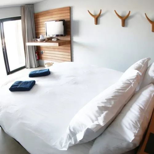 Habitación del hotel Windtown