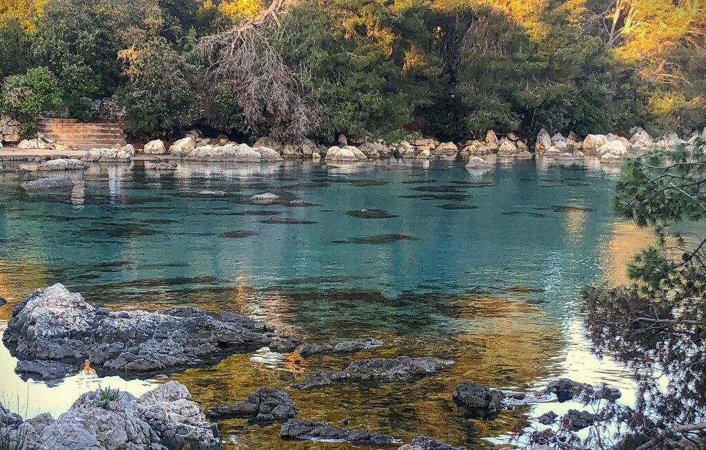 A clear river pool bordered by rocky banks and dense trees.