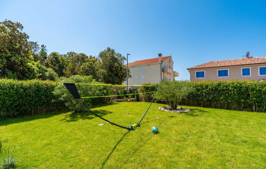 A grassy outdoor yard with a net stretched between poles and a ball.