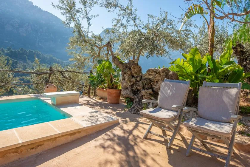 An outdoor poolside patio with seating and leafy plants.