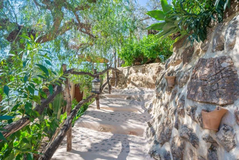 A stone garden staircase winds upward beneath leafy trees.