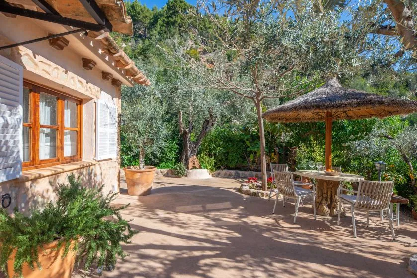 A sunny outdoor patio with a shaded seating area and trees.