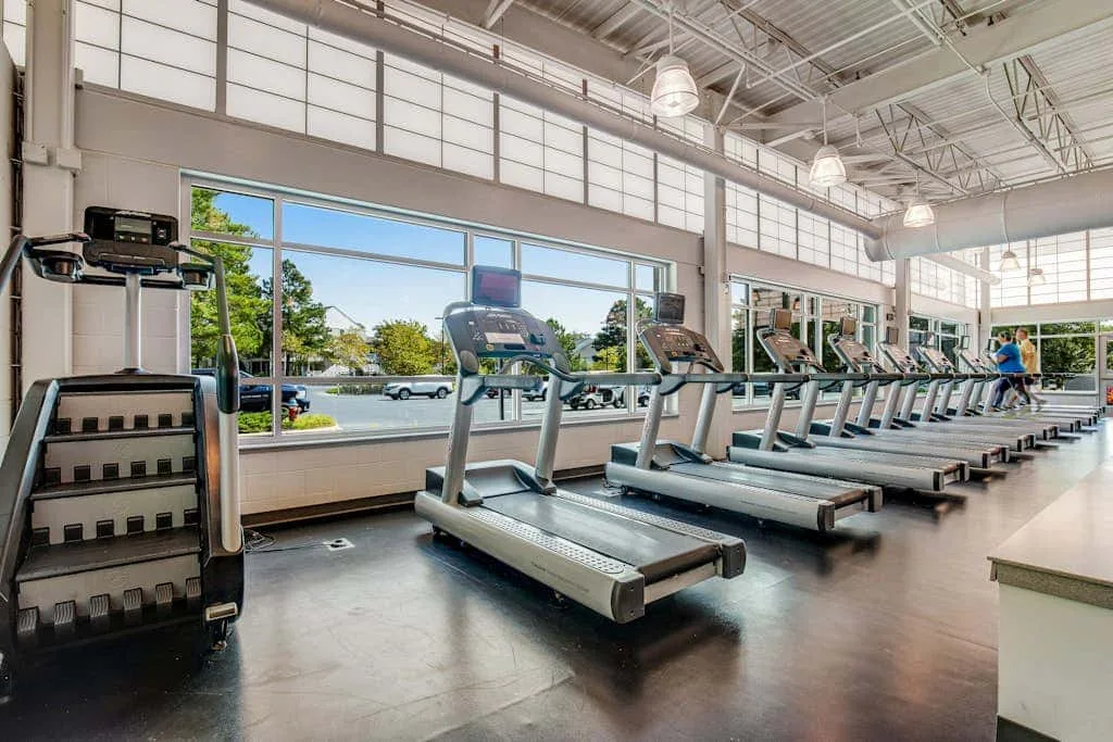 A gym with rows of treadmills beside large windows.