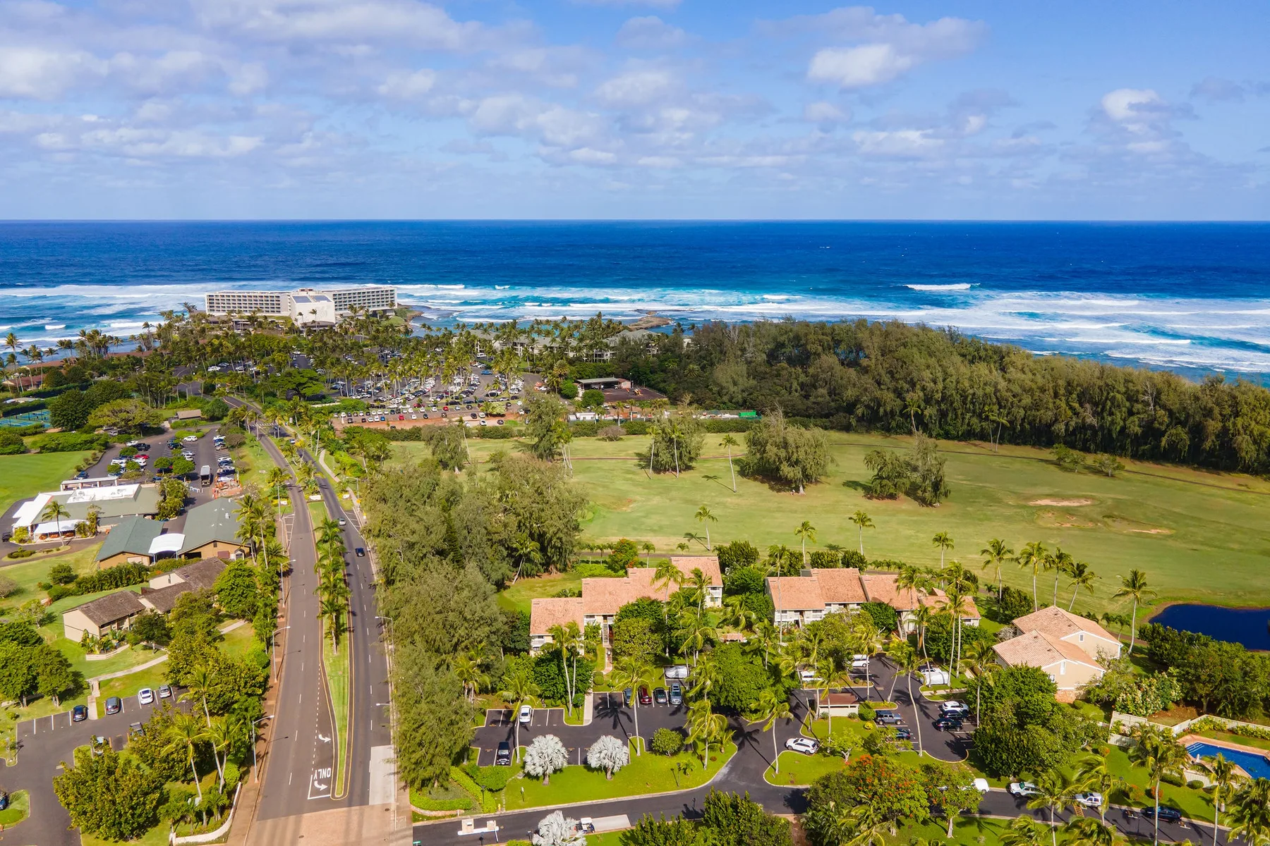 Aerial view of a coastal resort with greenery, buildings, and the ocean beyond.