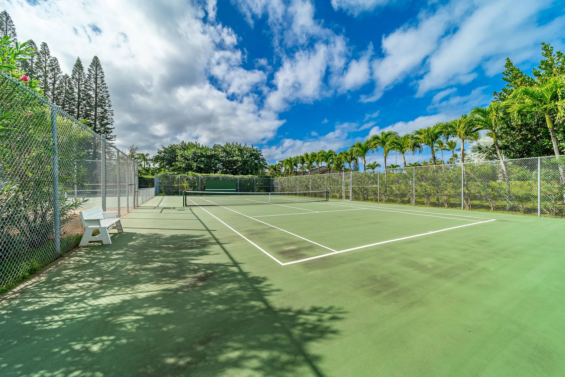 An outdoor tennis court is surrounded by chain-link fencing and palm trees.