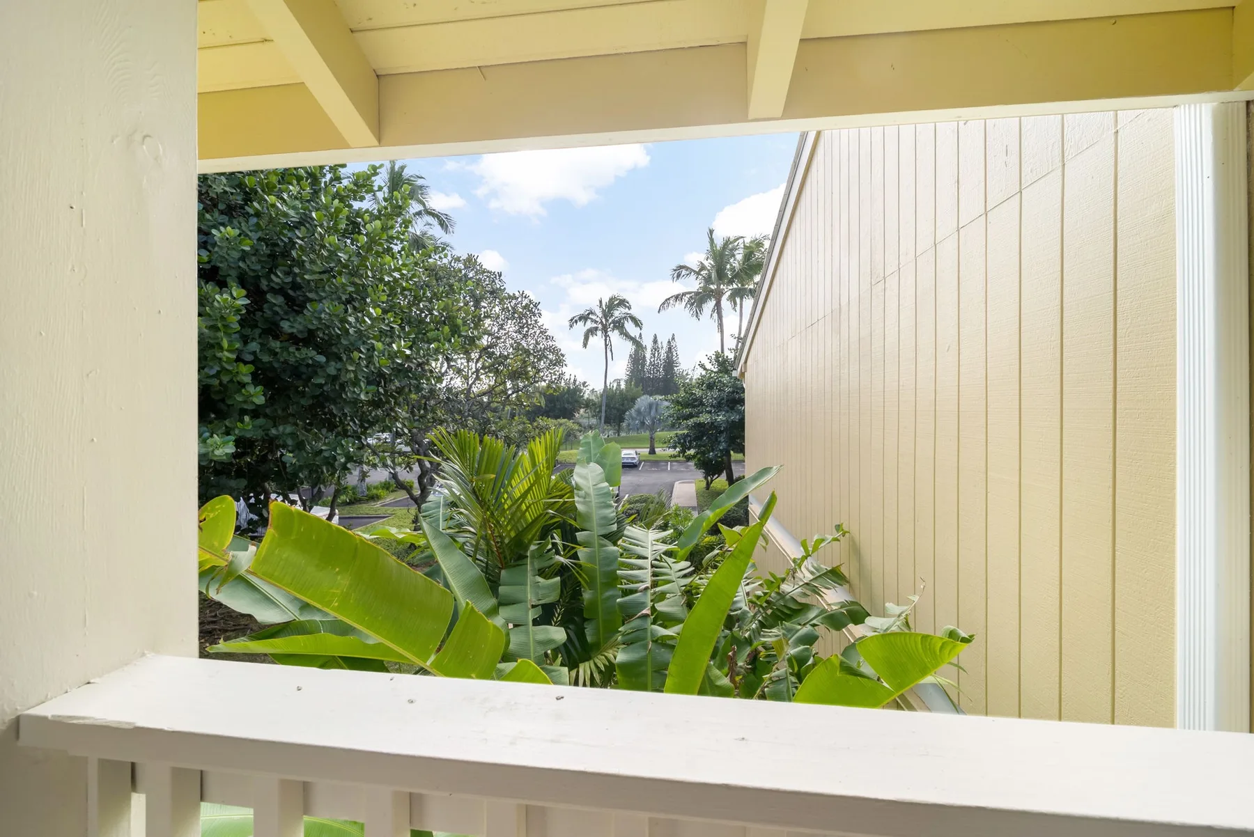 A covered porch overlooks lush tropical plants and trees.