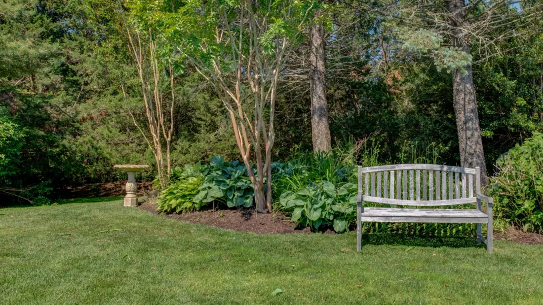 Un césped de jardín con un banco de madera junto a plantas frondosas y árboles.