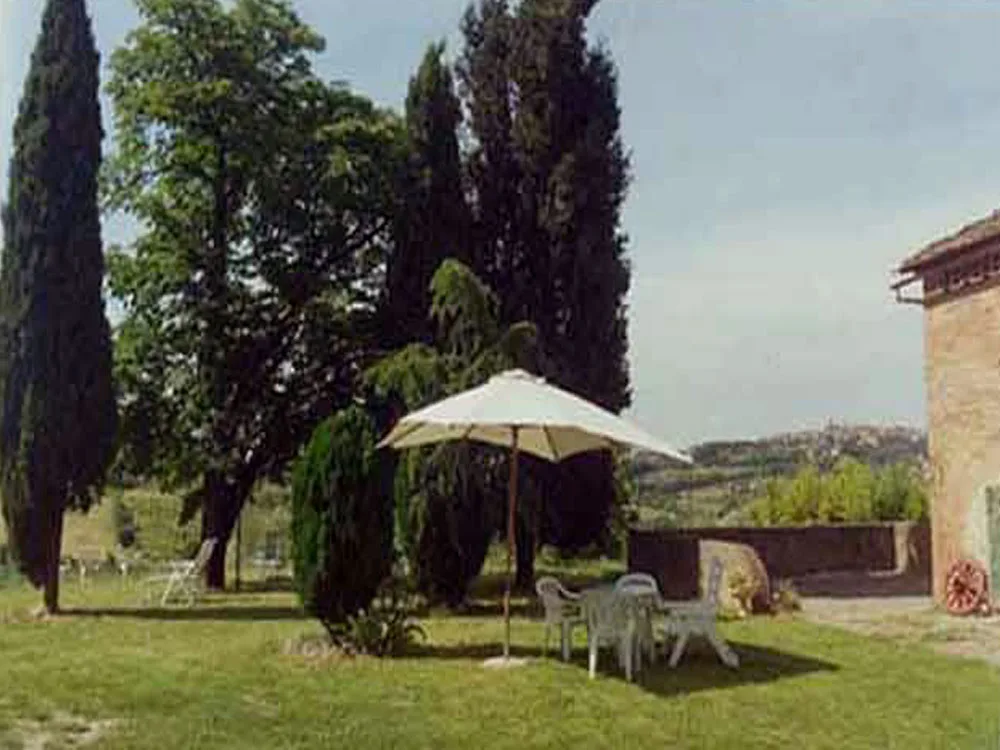 Garden and outdoor spaces