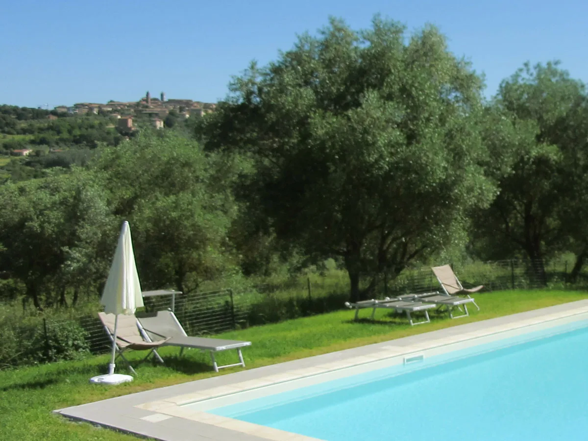 Seasonal pool beside the olive grove