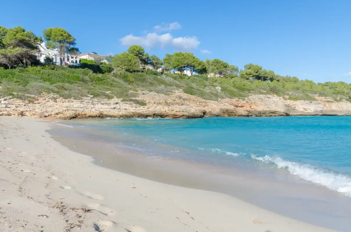 Una playa de arena bordea aguas azules y claras bajo una costa rocosa con árboles.