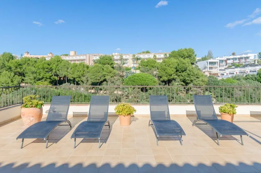 Una terraza soleada en la azotea con tumbonas reclinables, plantas en macetas y una barandilla frente a zonas verdes.