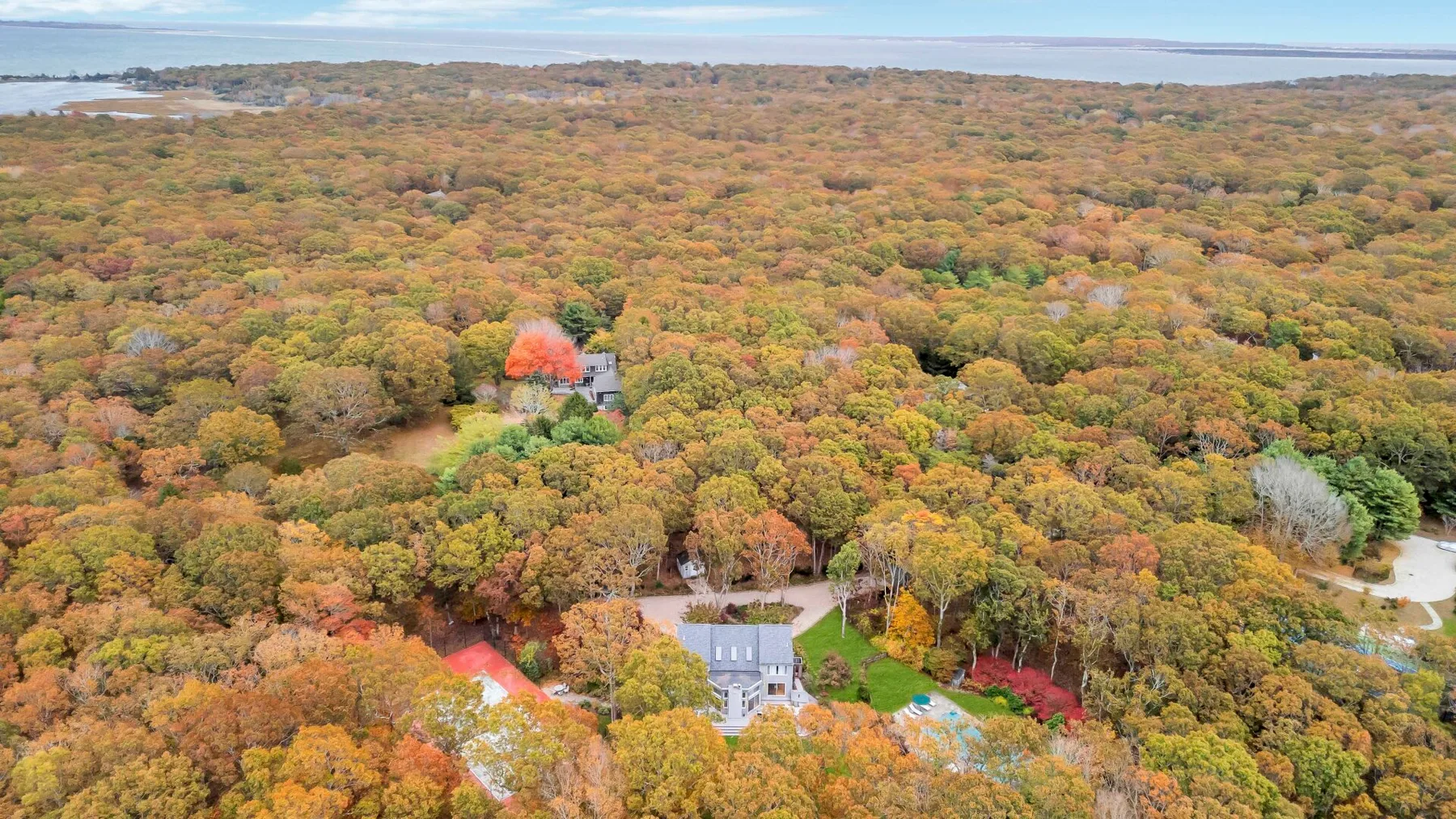 An aerial view of autumn-colored woodland with a few buildings among the trees.