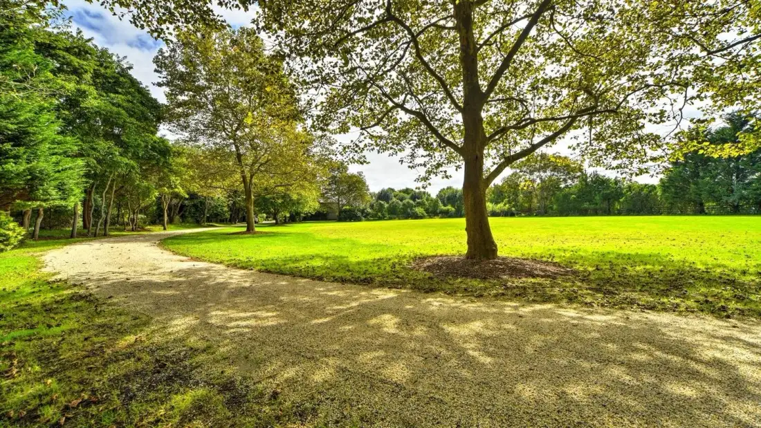 A sunlit park path curves beside a broad green lawn and mature trees.
