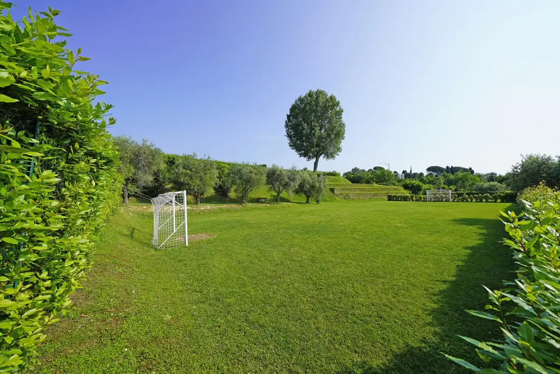A broad grassy field with small goals is bordered by hedges and trees.
