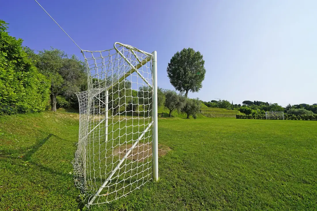 A grassy sports field with a soccer goal and trees along the edge.