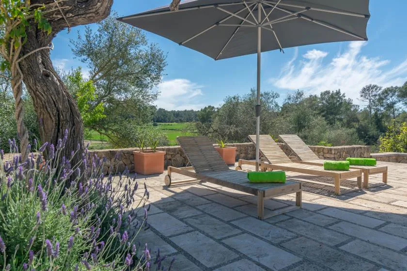 A sunlit outdoor patio has lounge seating beneath a large umbrella, with greenery nearby.