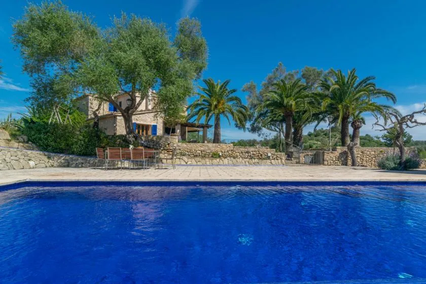A swimming pool sits in front of a stone terrace and palm trees.