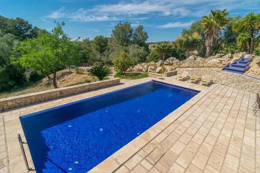 A blue swimming pool sits beside a paved patio and landscaped greenery.