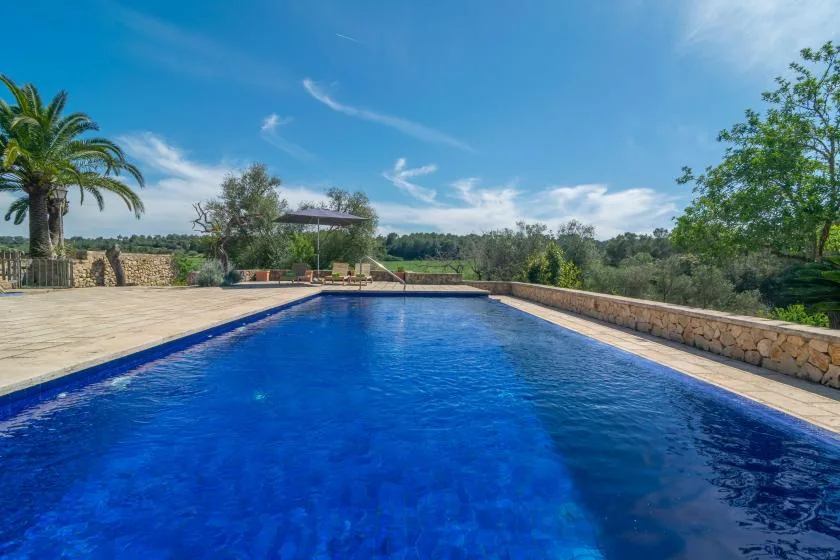 An outdoor swimming pool is surrounded by a paved terrace and greenery.