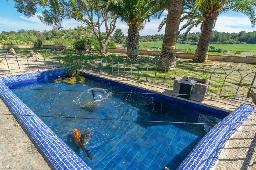 A tiled outdoor swimming pool sits beside palm trees and a fenced garden.