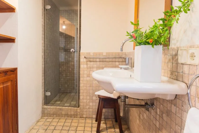 A bathroom with a tiled shower and a sink topped with a potted plant.