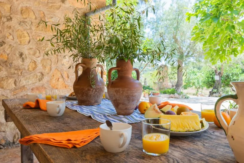 A rustic outdoor dining table displays fruit, drinks, and leafy plants.