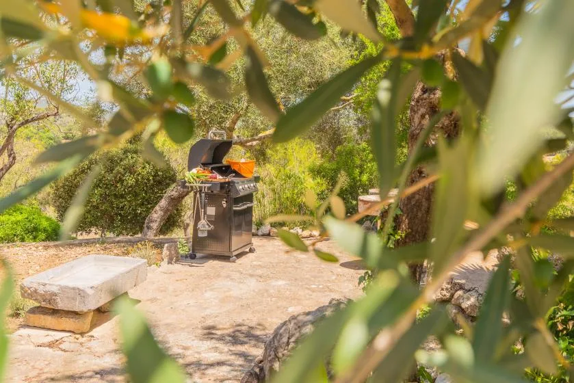 A barbecue grill sits on a stone patio surrounded by trees and greenery.