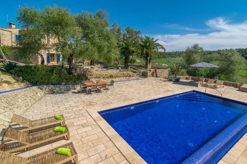 A swimming pool and paved patio sit beside a landscaped garden.